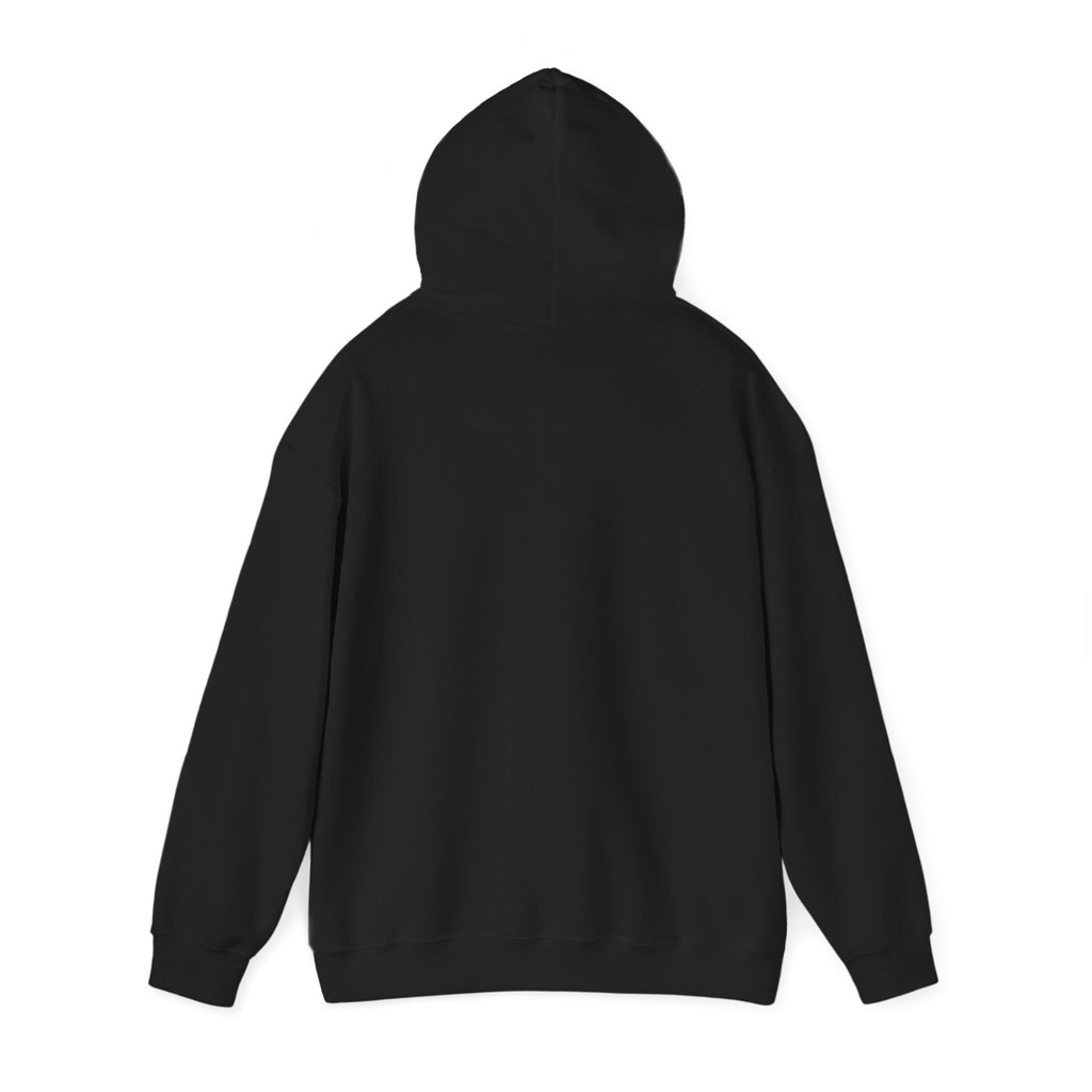 RINA J. Original | Neon Geometric Pumpkin Hoodie - Pink & Cyan Bat Graphic, Black/Charcoal