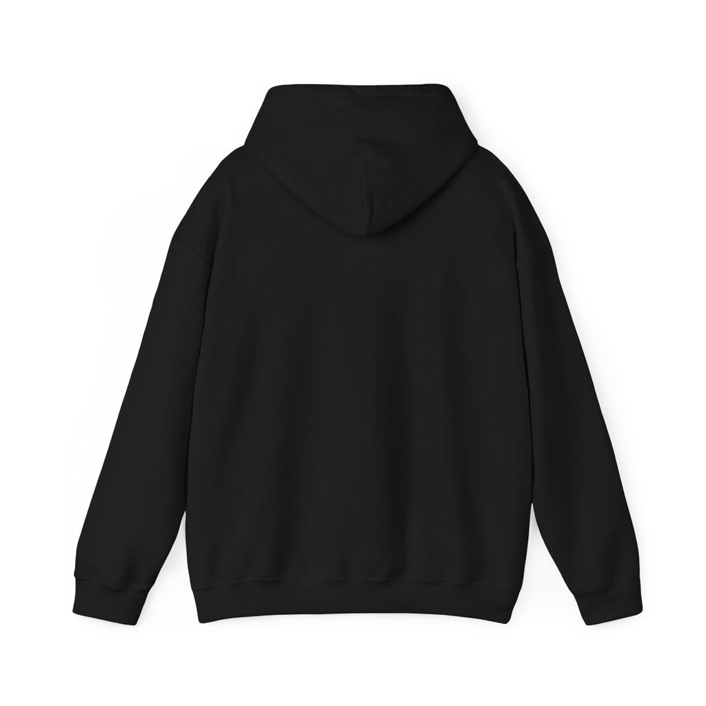 RINA J. Original | Neon Geometric Pumpkin Hoodie - Pink & Cyan Bat Graphic, Black/Charcoal
