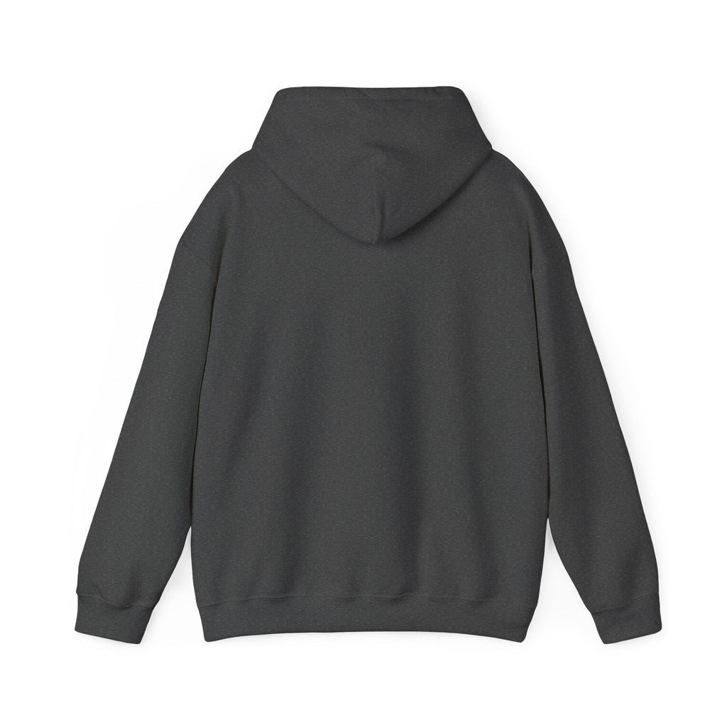 RINA J. Original | Neon Geometric Pumpkin Hoodie - Pink & Cyan Bat Graphic, Black/Charcoal